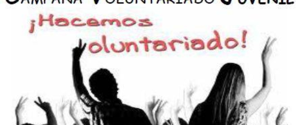 logo_voluntariado_juvenil_23052013.JPG