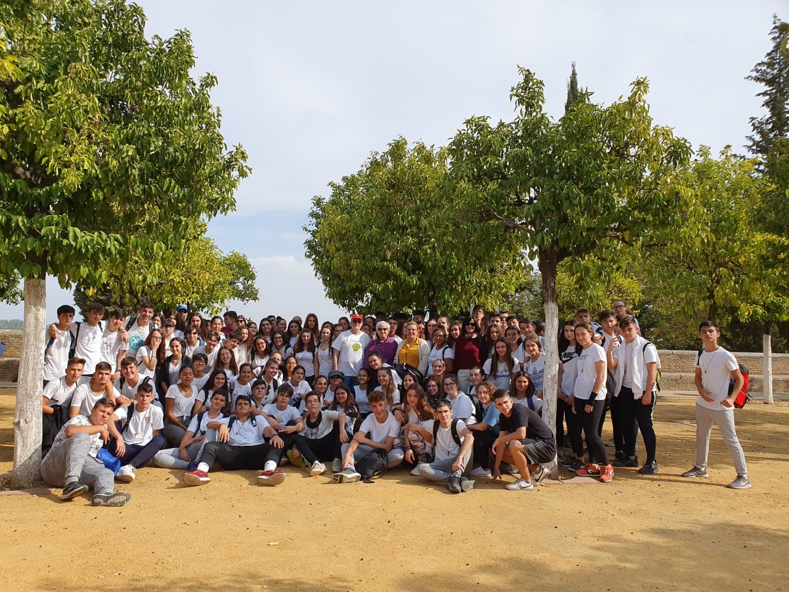 camino santiago 3 28102019