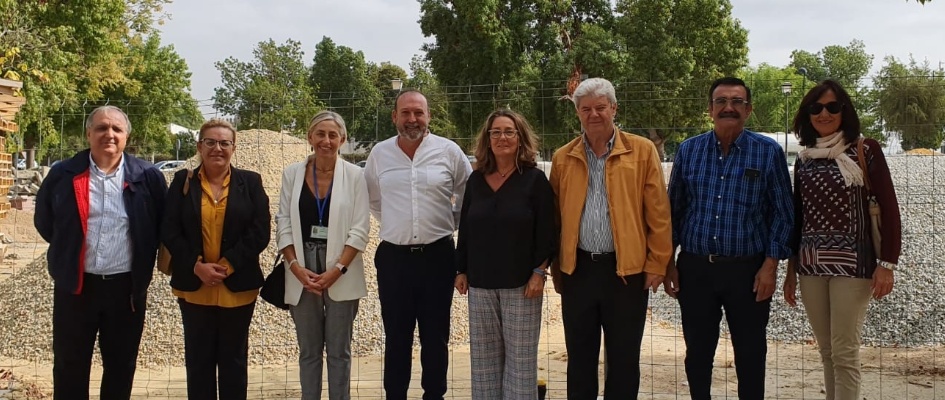 visita delegada 20102019