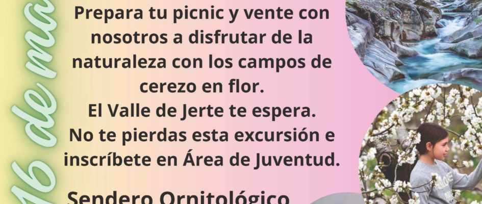 01.- Publicidad 2de2