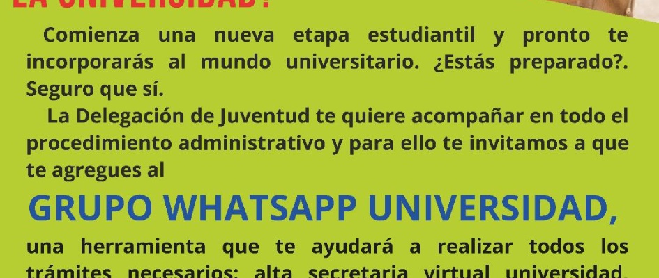 whatsapp universidad